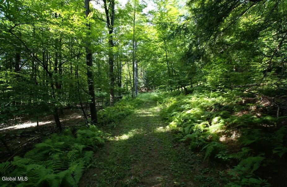 1276 Holcombville Road Whitehall NY 12887