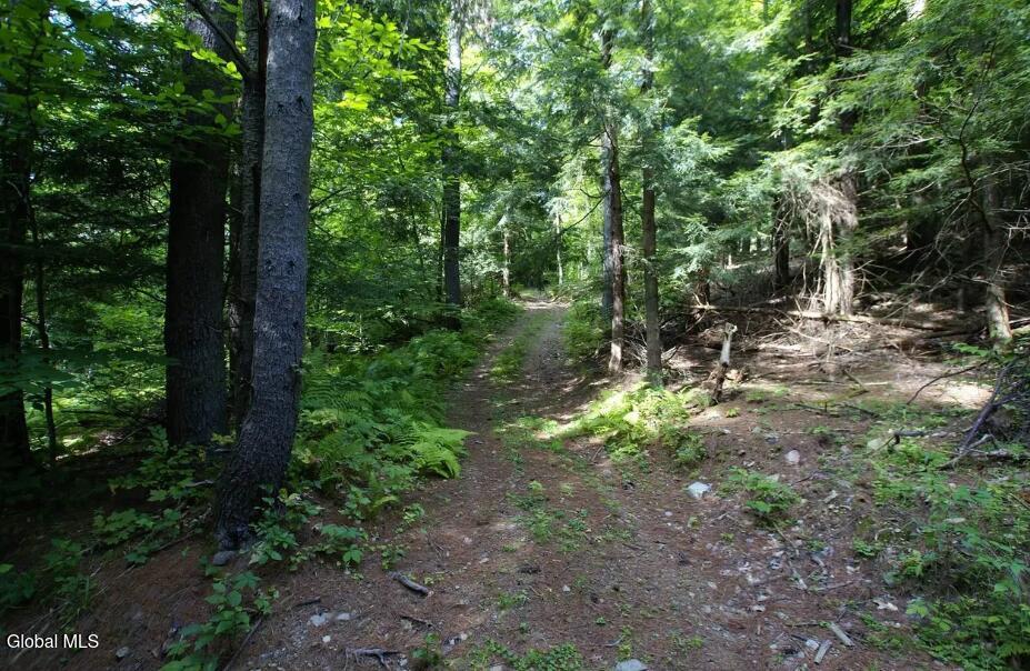1276 Holcombville Road Whitehall NY 12887