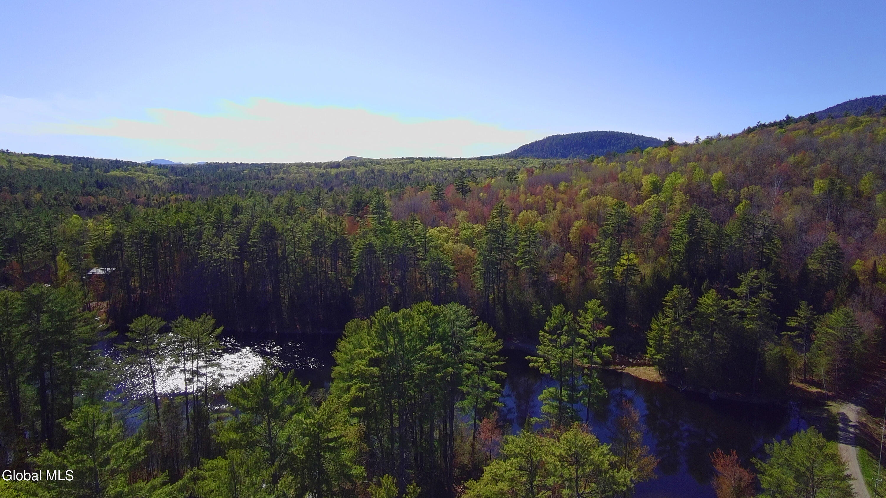 53 Clear Water Lake Road Brant Lake NY 12815