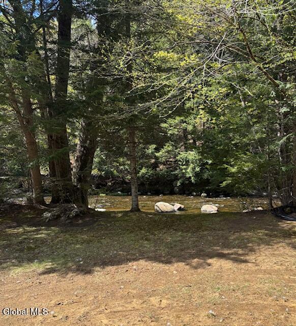 501 Harrington Road Wevertown NY 12886