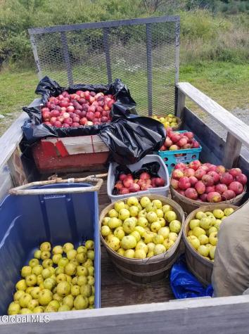 184 Rabbit Road Greenwich NY 12834