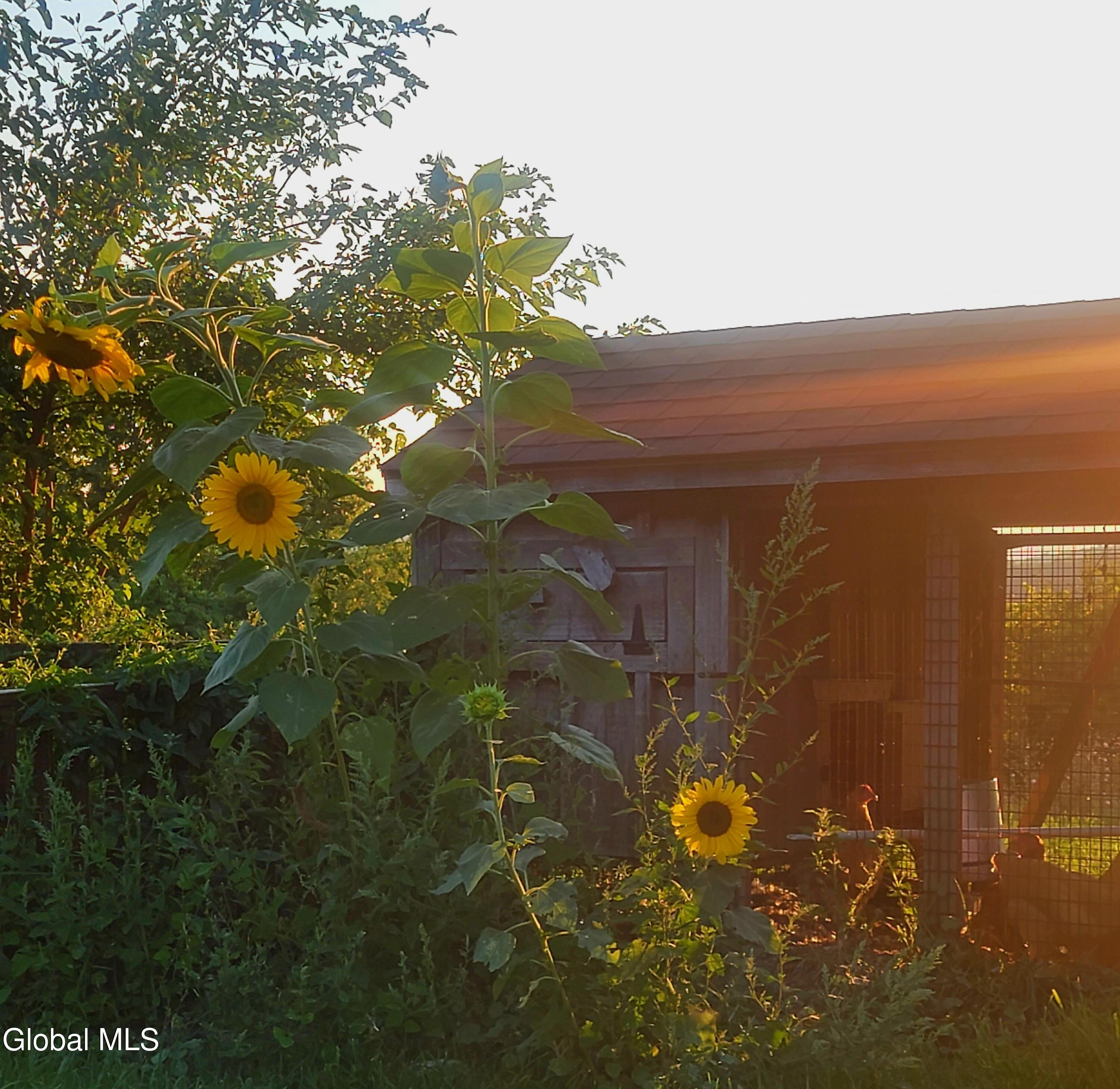 184 Rabbit Road Greenwich NY 12834
