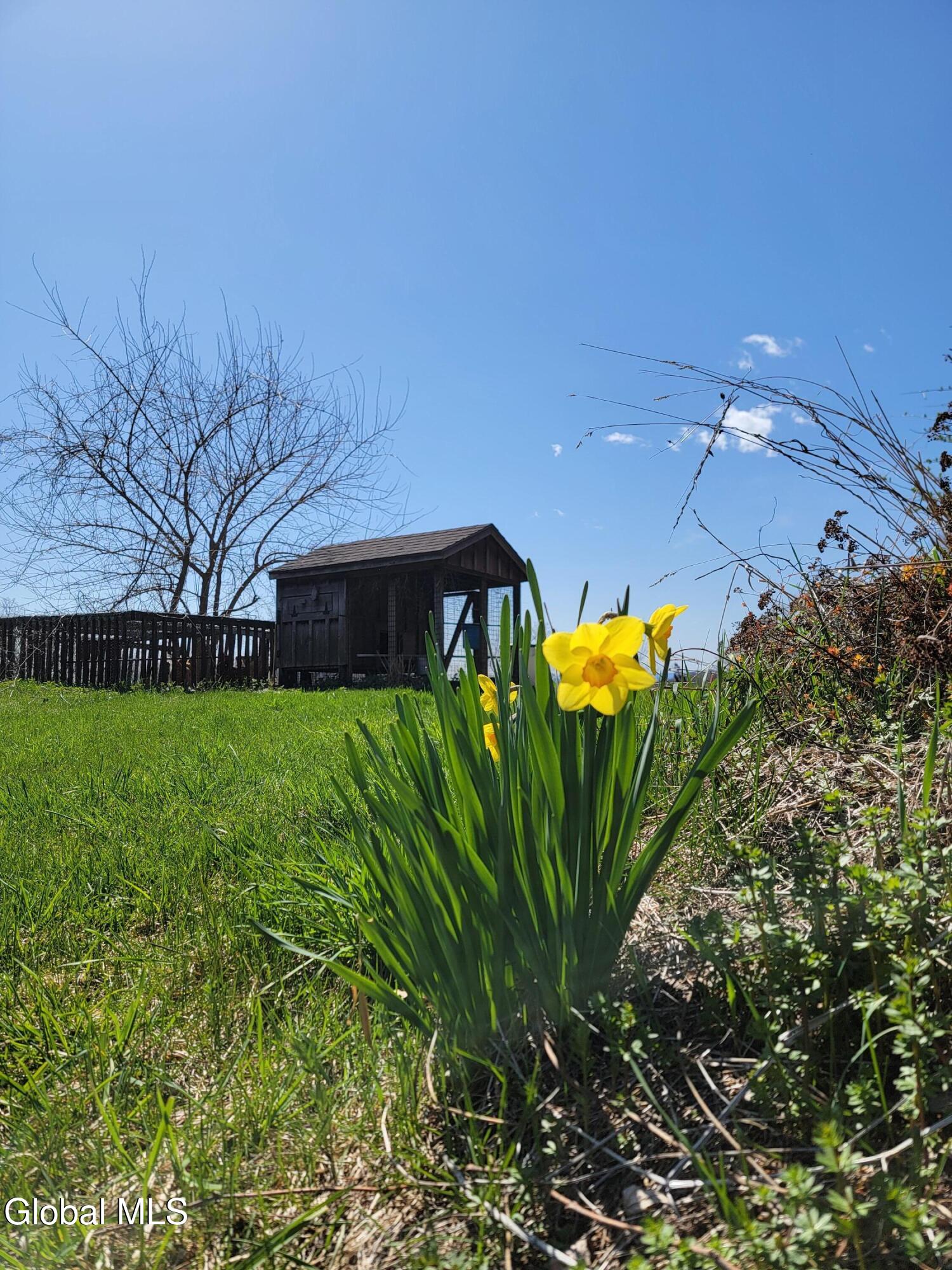 184 Rabbit Road Greenwich NY 12834