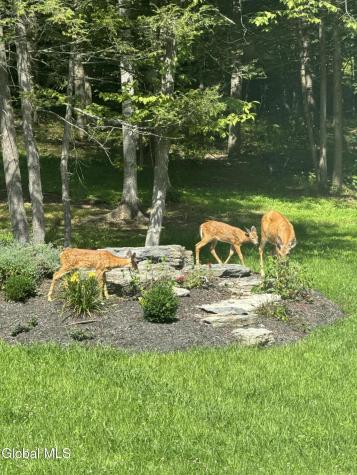 22 Weisenborn Road Feura Bush NY 12067