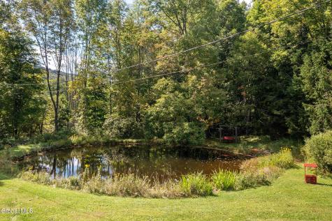 679 W Kill Road Jefferson NY 12093