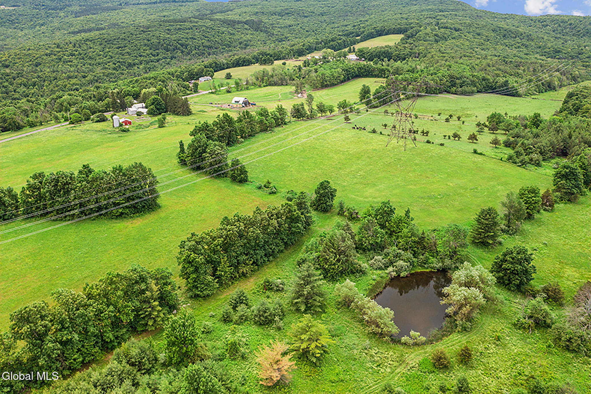 378 County Route 354 Preston Hollow NY 12469