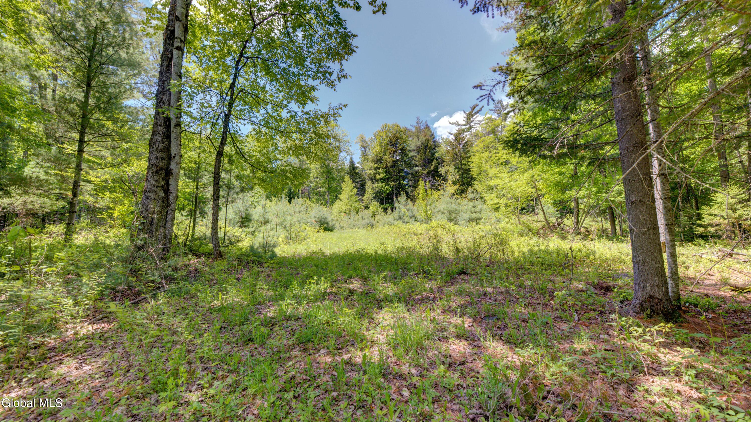 389 Windfall Road Wells NY 12190