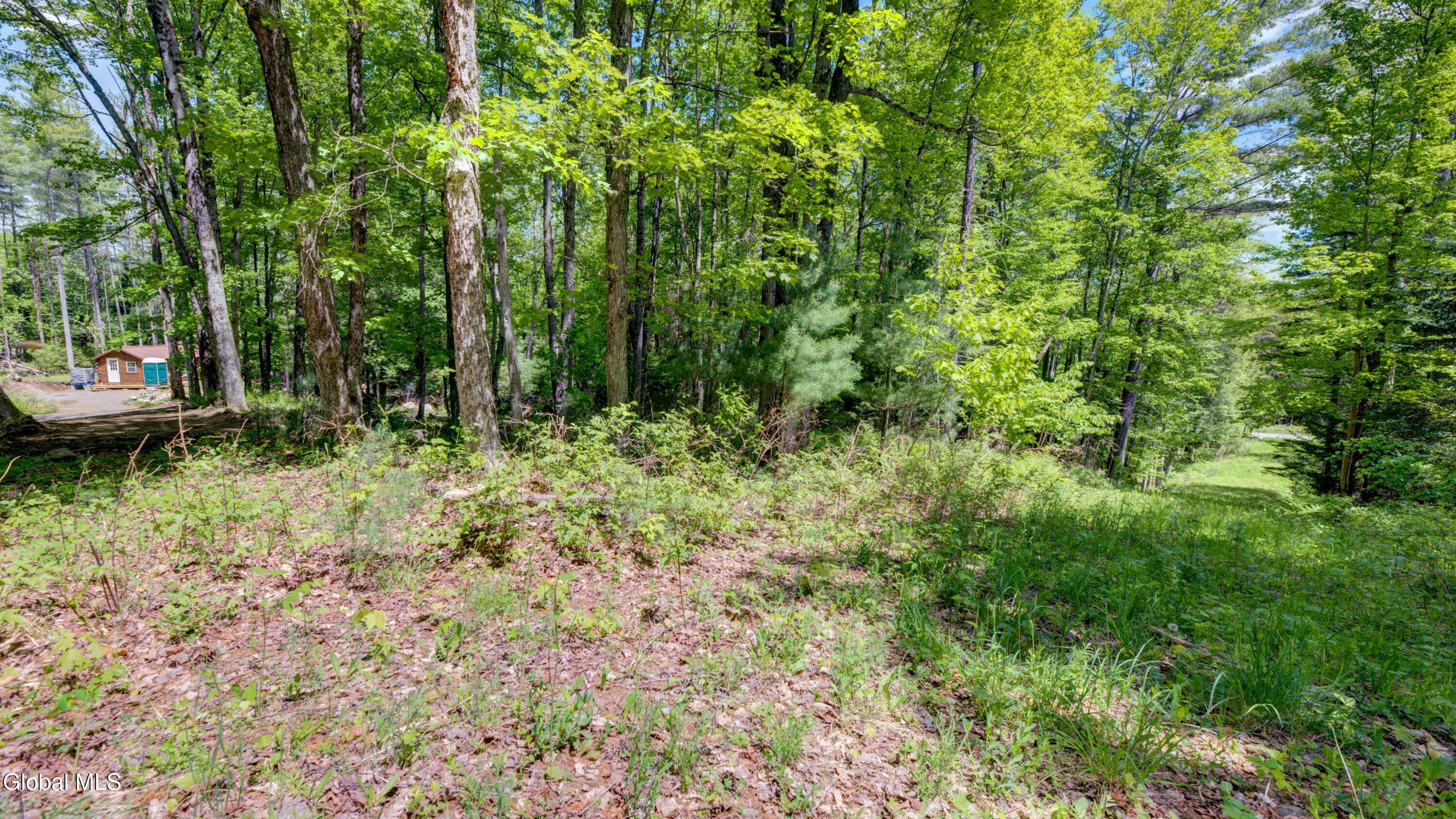 389 Windfall Road Wells NY 12190