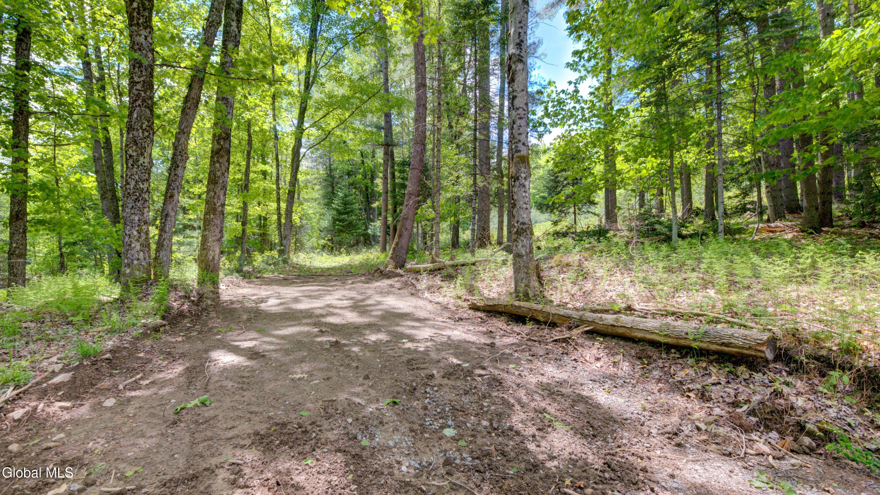 389 Windfall Road Wells NY 12190