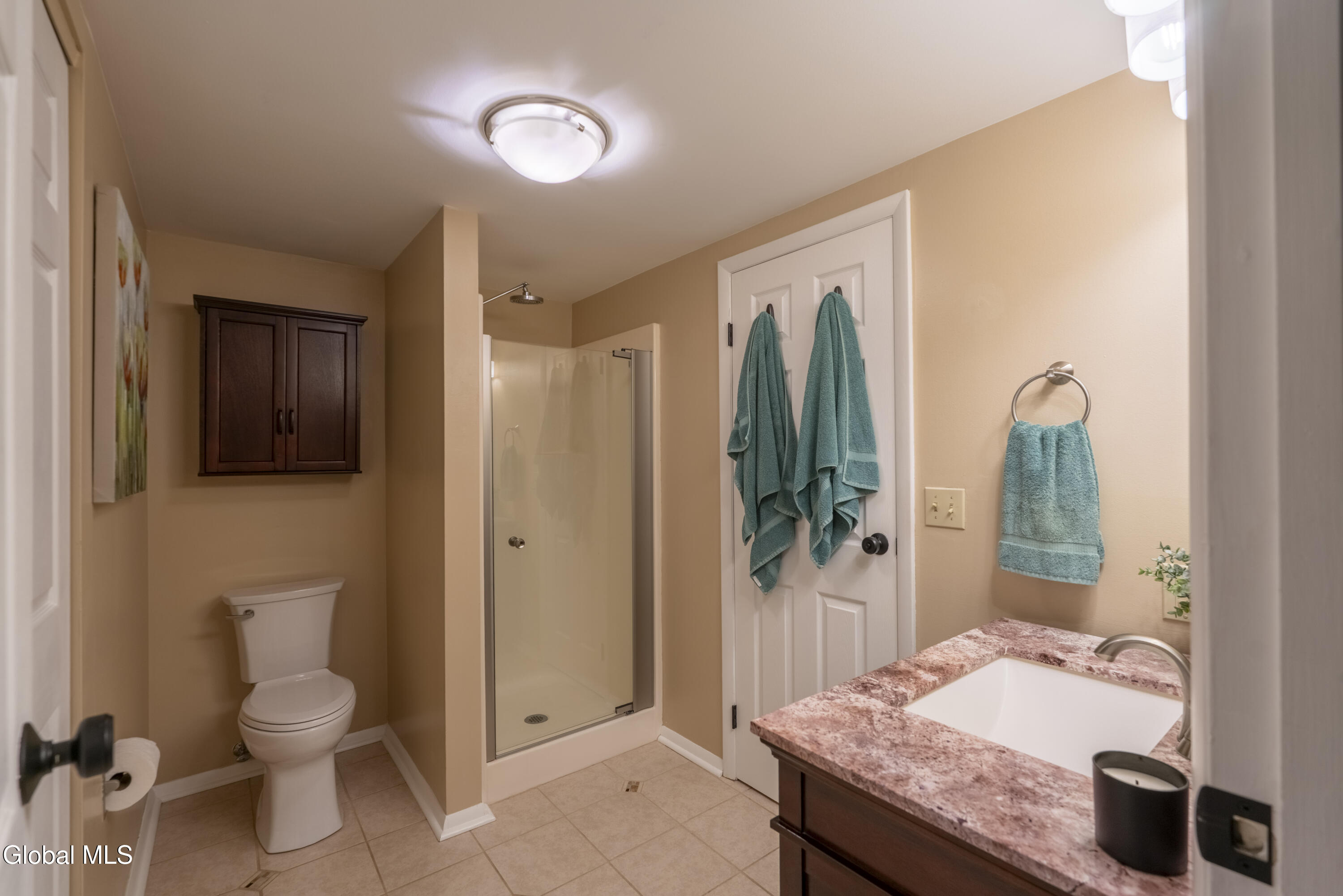 19 Meadow Rue Place Malta NY 12020