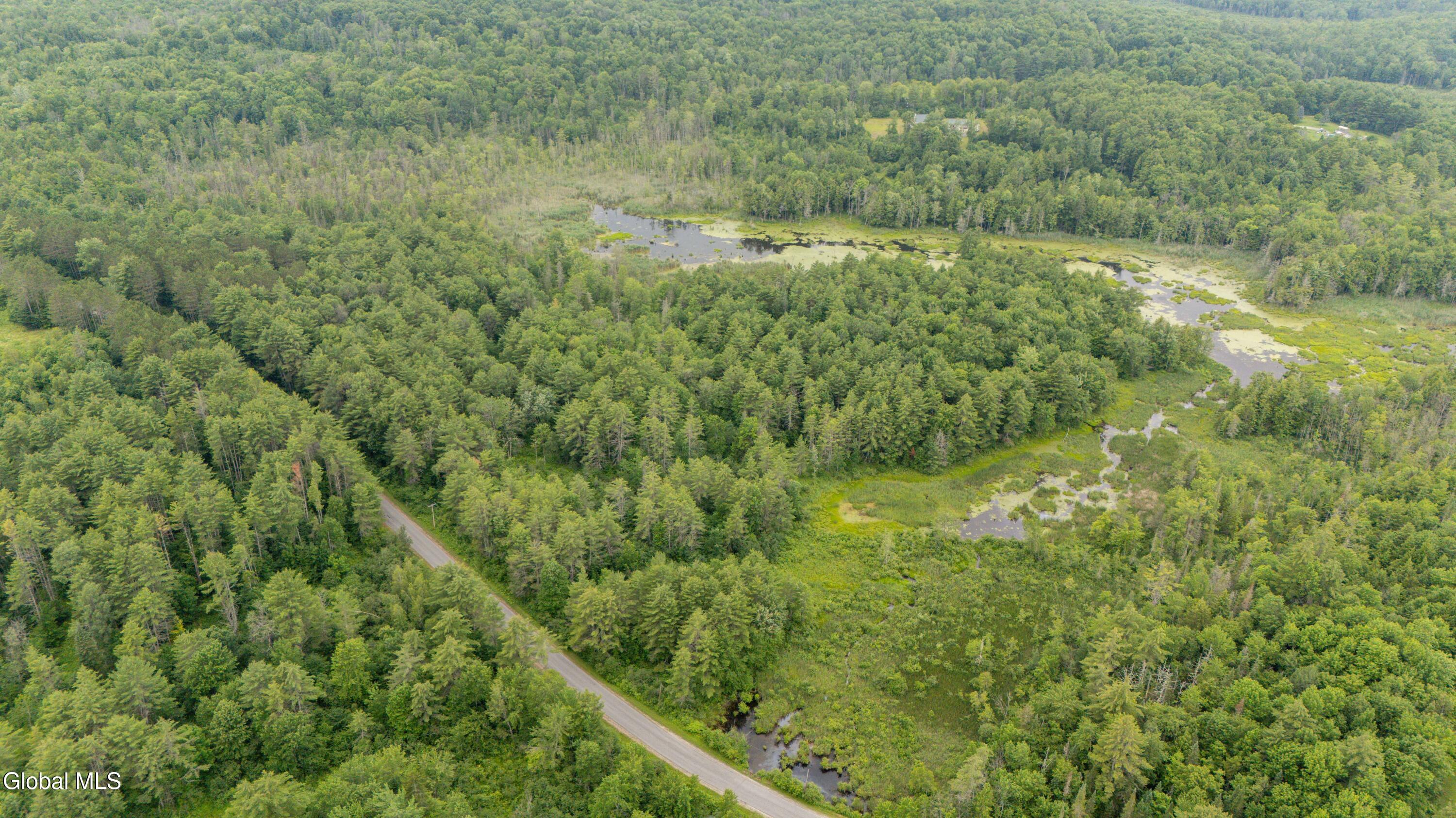 404 North Road Dolgeville NY 13329