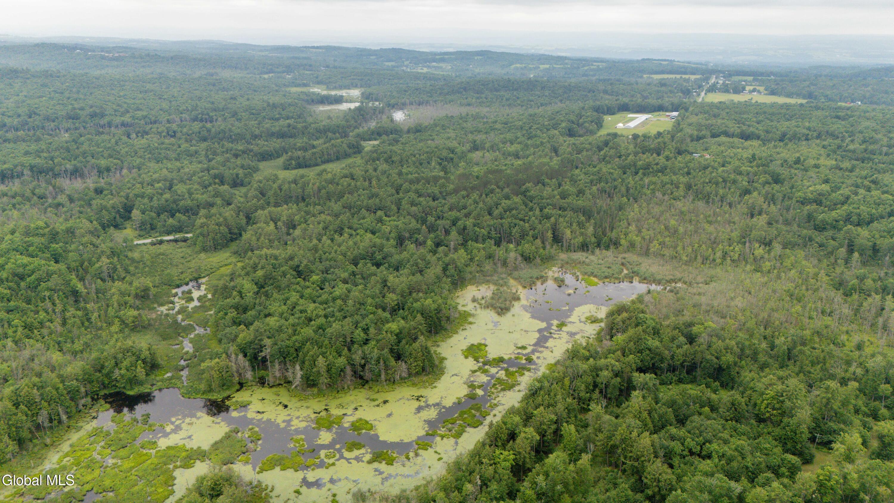 404 North Road Dolgeville NY 13329
