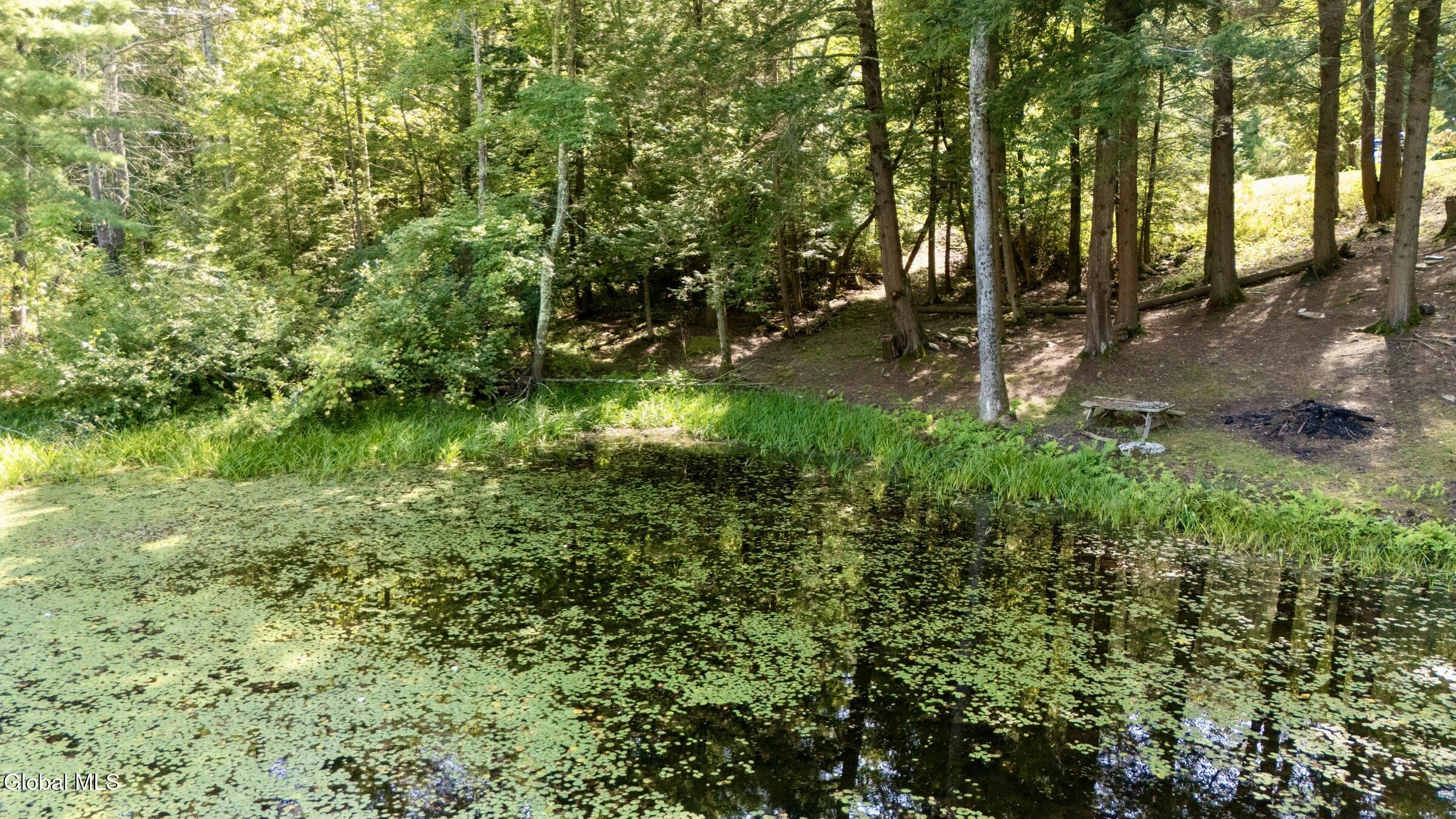 598 W Green Pond Way Hebron NY 12832