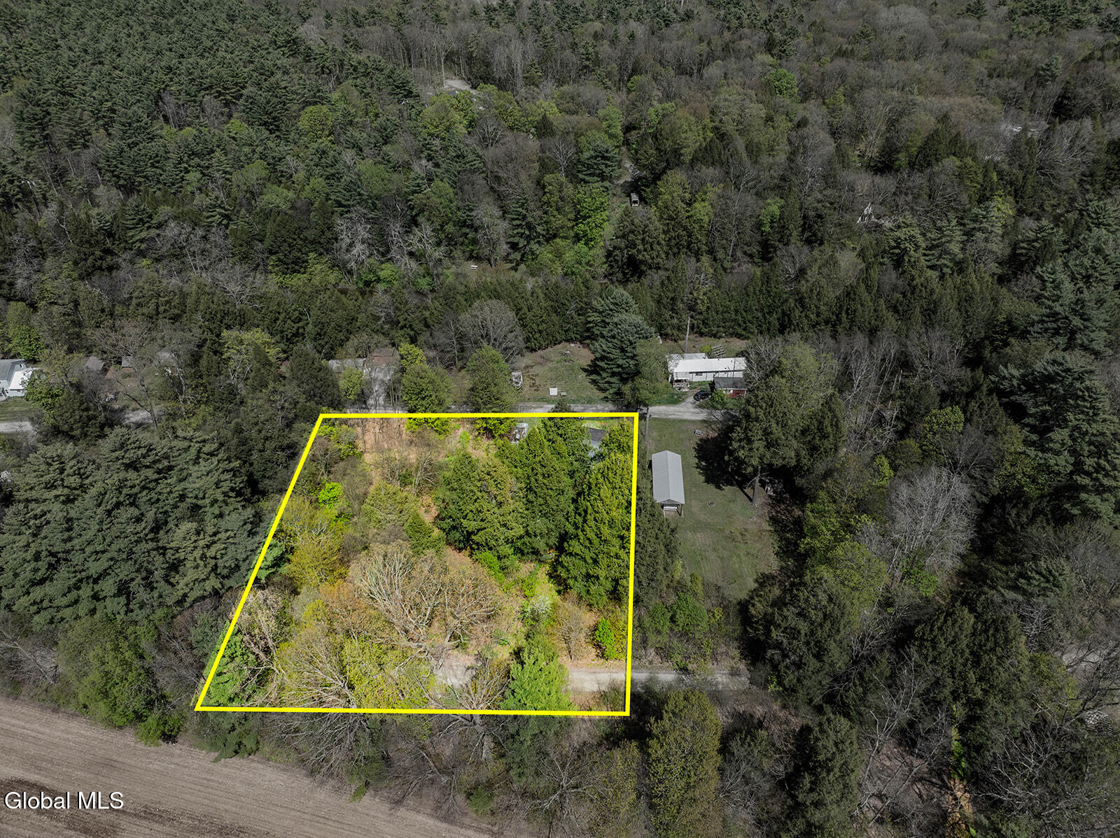 42 Battenkill Evergreens Jackson NY 12865