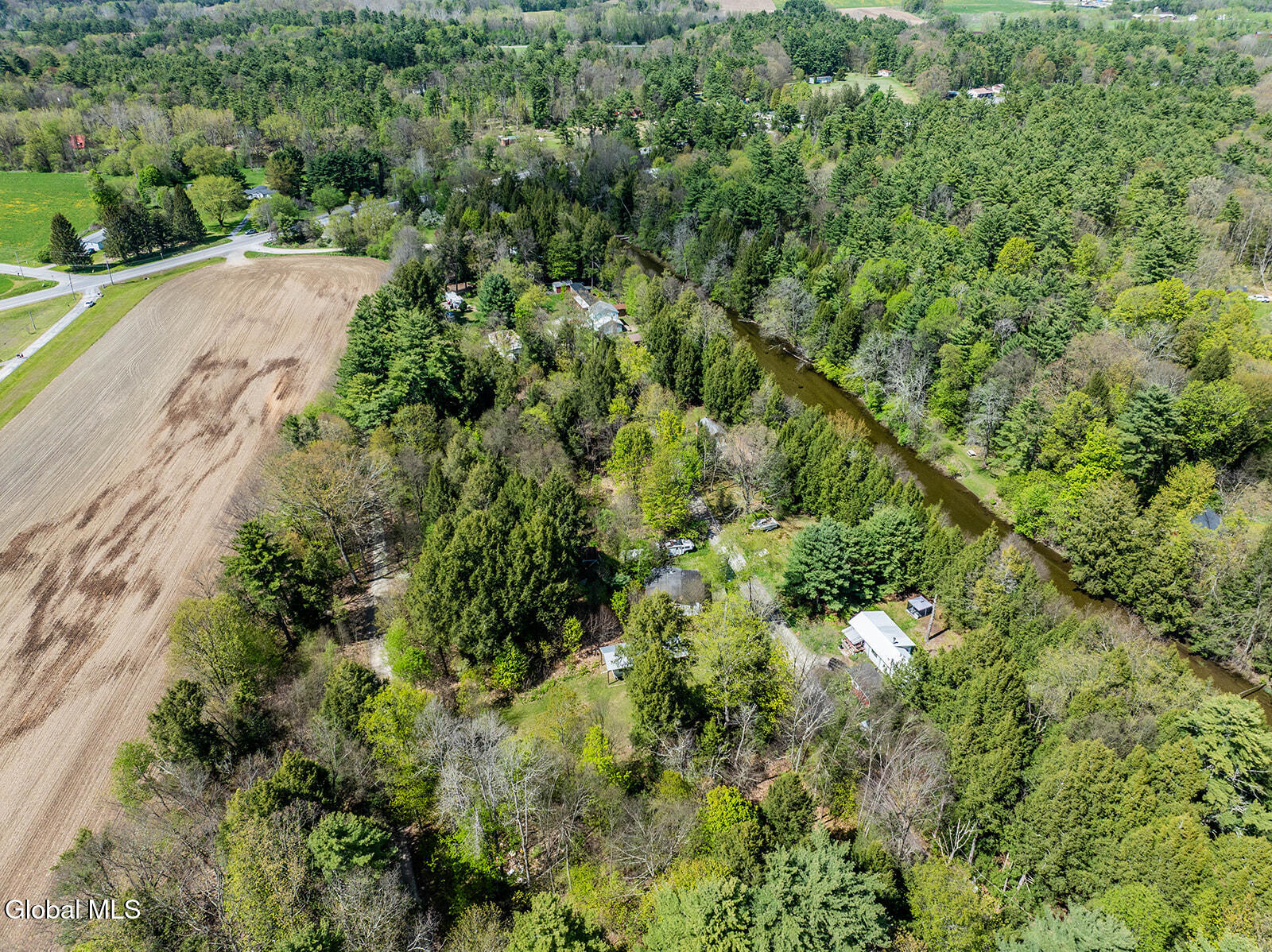 42 Battenkill Evergreens Jackson NY 12865