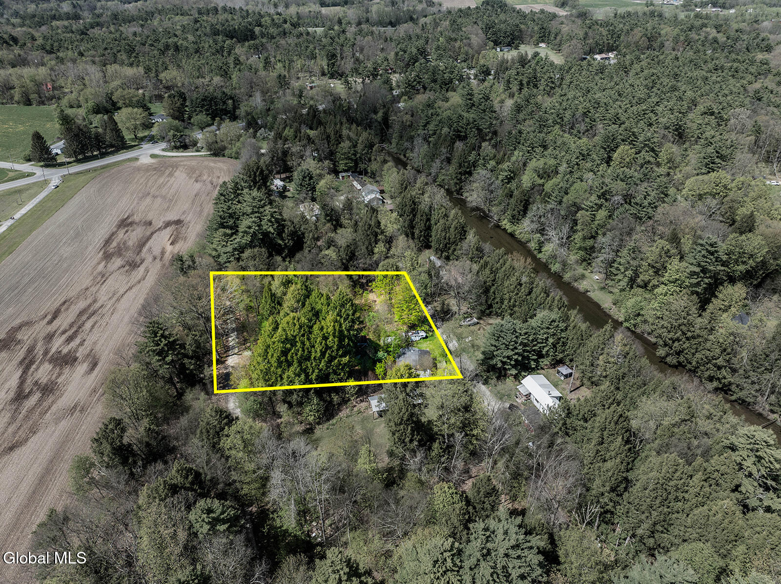 42 Battenkill Evergreens Jackson NY 12865