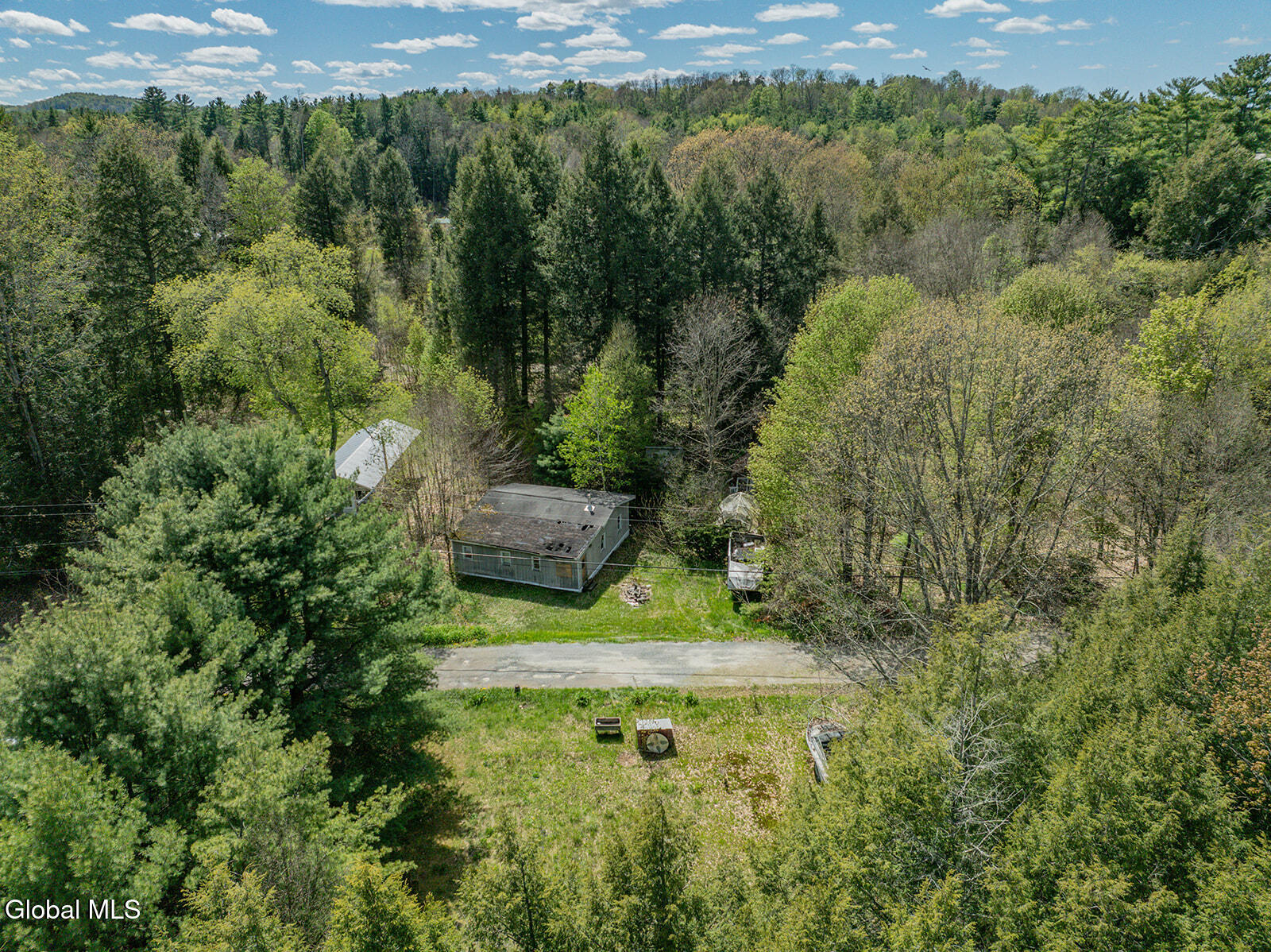 42 Battenkill Evergreens Jackson NY 12865