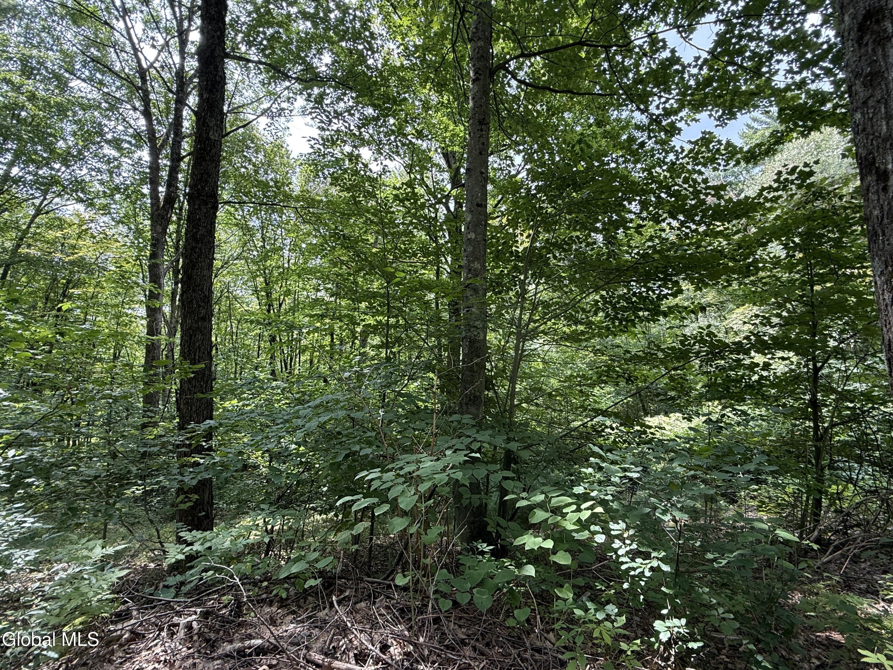 936 Ridge Road Broadalbin NY 12025