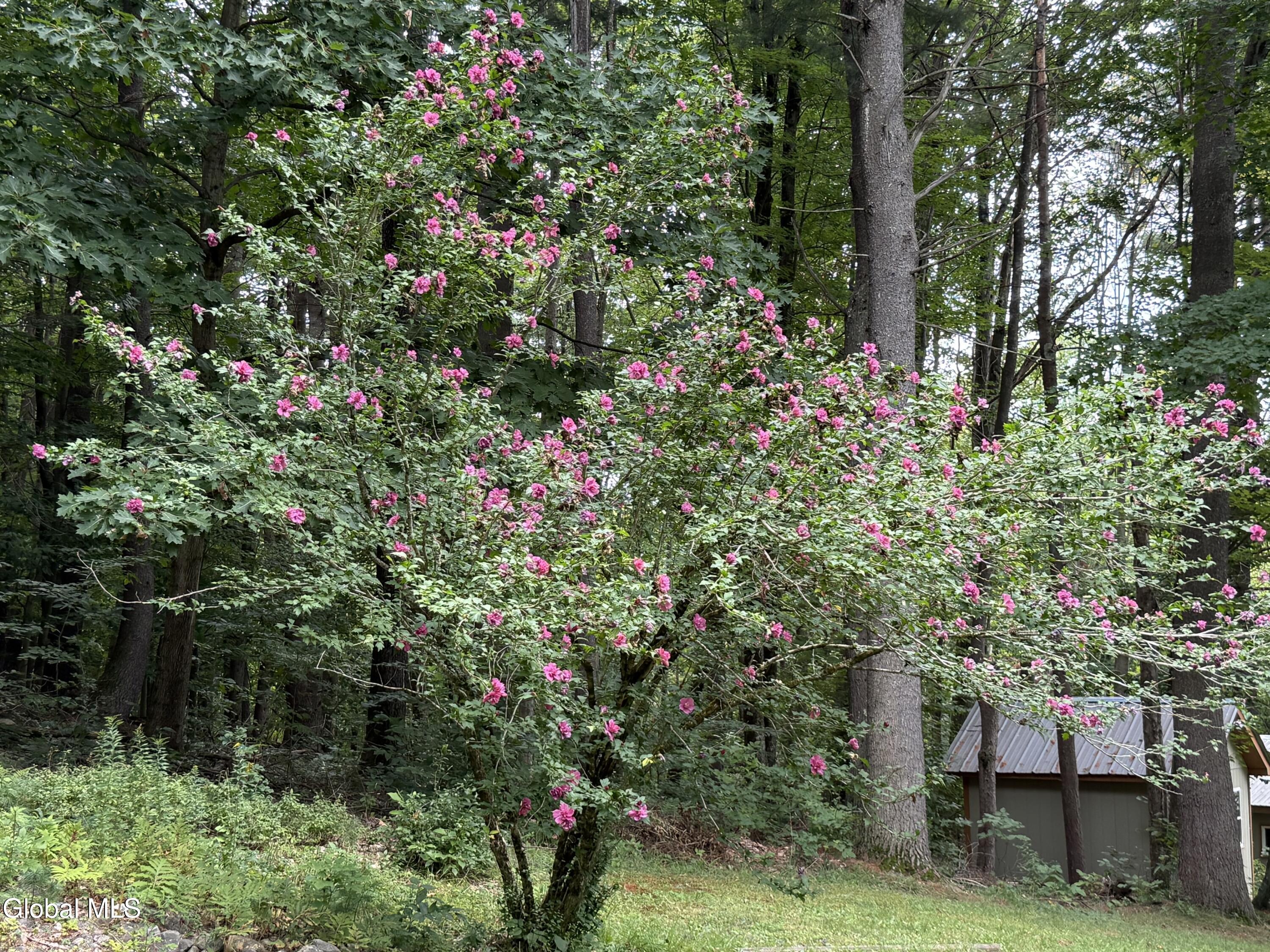 936 Ridge Road Broadalbin NY 12025