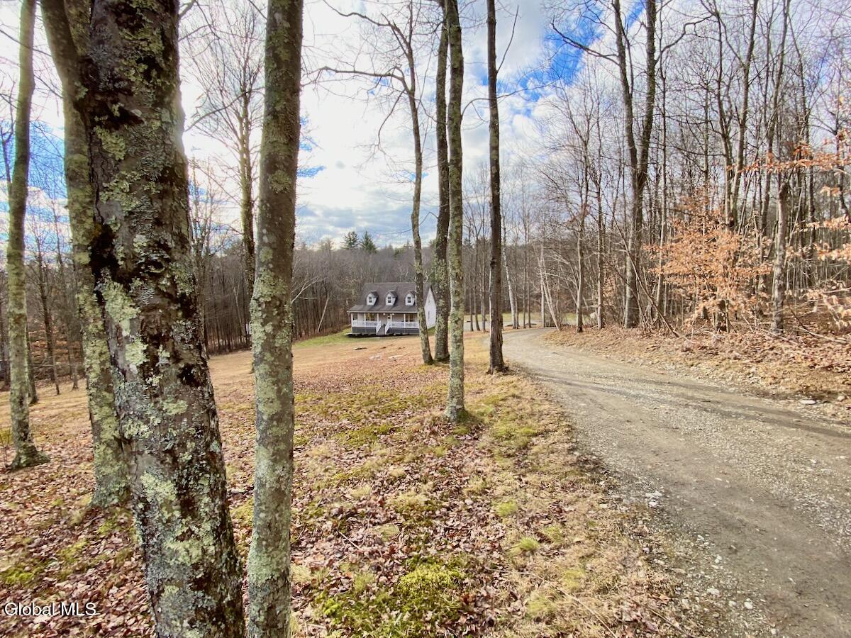 365 Moore Hill Road Stephentown NY 12168