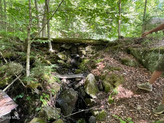 787 Stoney Lonesome Road Crown Point NY 12928