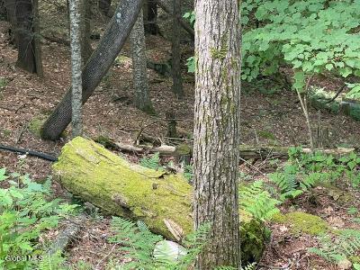 787 Stoney Lonesome Road Crown Point NY 12928