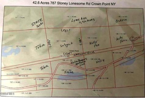 787 Stoney Lonesome Road Crown Point NY 12928