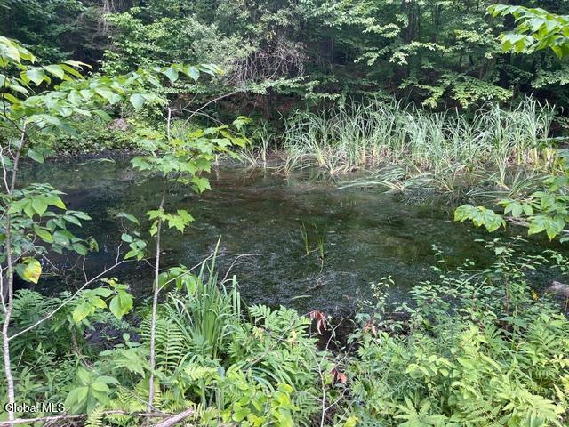 787 Stoney Lonesome Road Crown Point NY 12928