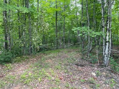 787 Stoney Lonesome Road Crown Point NY 12928