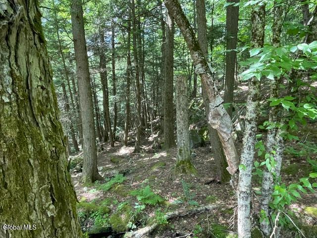 787 Stoney Lonesome Road Crown Point NY 12928