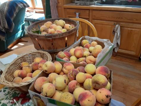 1835 Call Street Lake Luzerne NY 12846