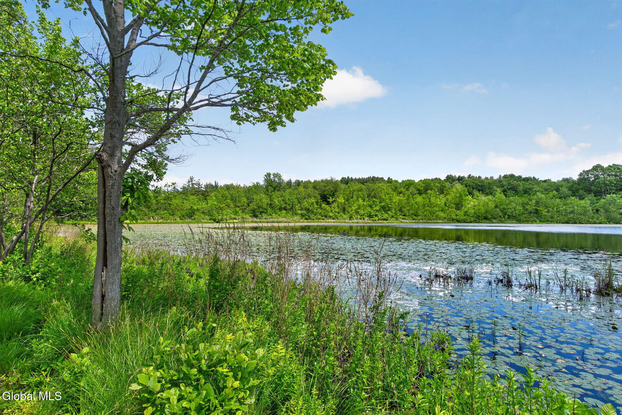 99 Turnabout Road West Sand Lake NY 12196