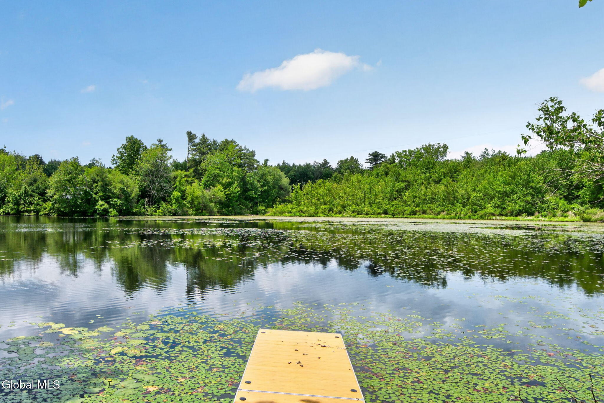 99 Turnabout Road West Sand Lake NY 12196