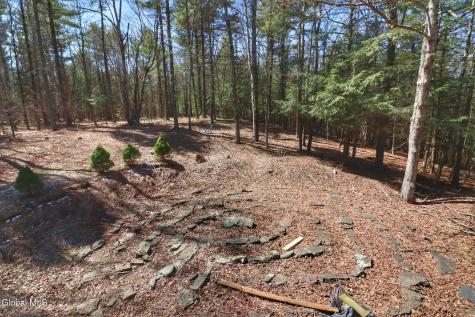 307 Irish Hill Road East Berne NY 12059