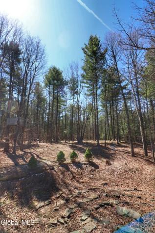 307 Irish Hill Road East Berne NY 12059