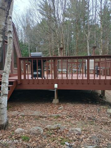 307 Irish Hill Road East Berne NY 12059