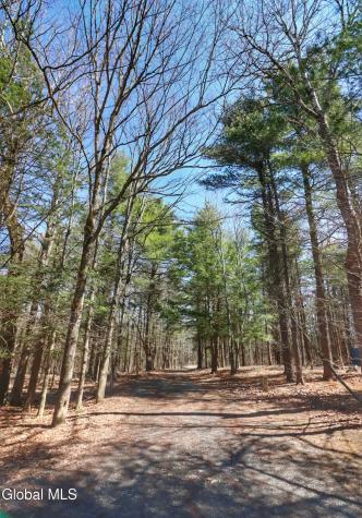 307 Irish Hill Road East Berne NY 12059
