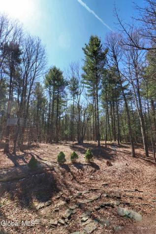 307 Irish Hill Road East Berne NY 12059