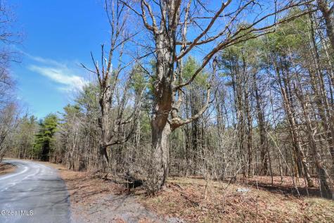 307 Irish Hill Road East Berne NY 12059