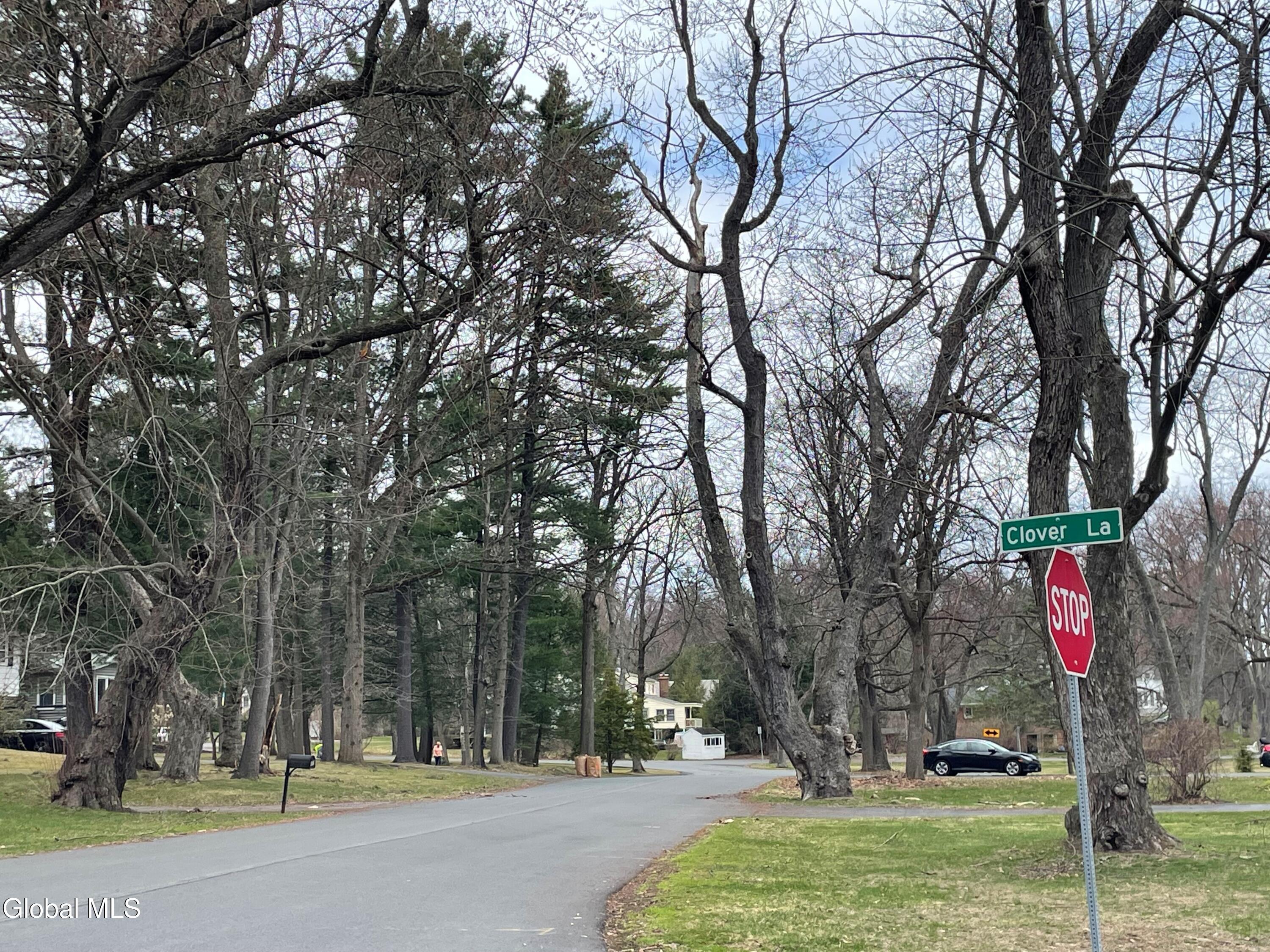 8 Clover Lane Loudonville NY 12211