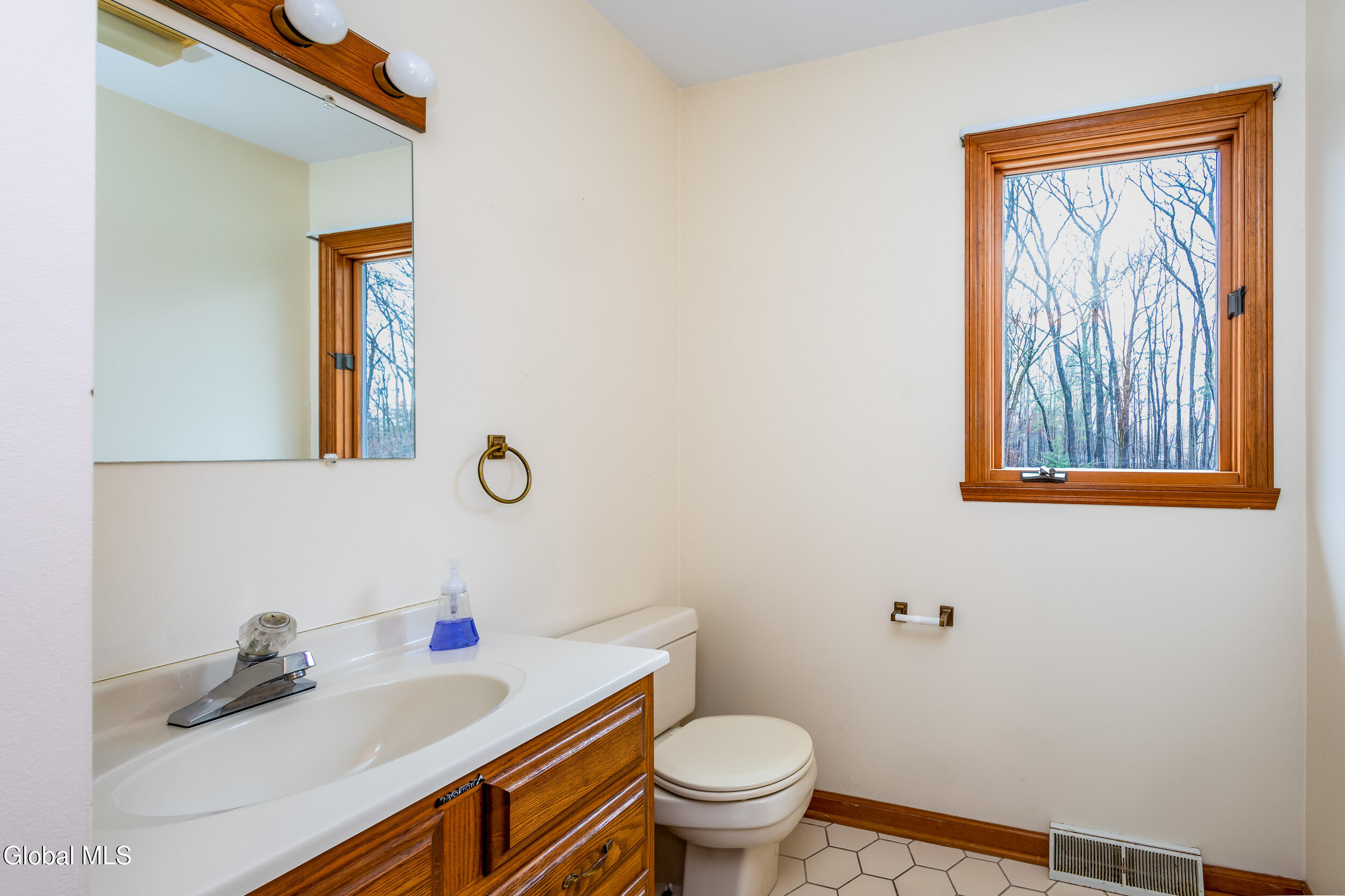 42 Deer Run Hollow Halfmoon NY 12065