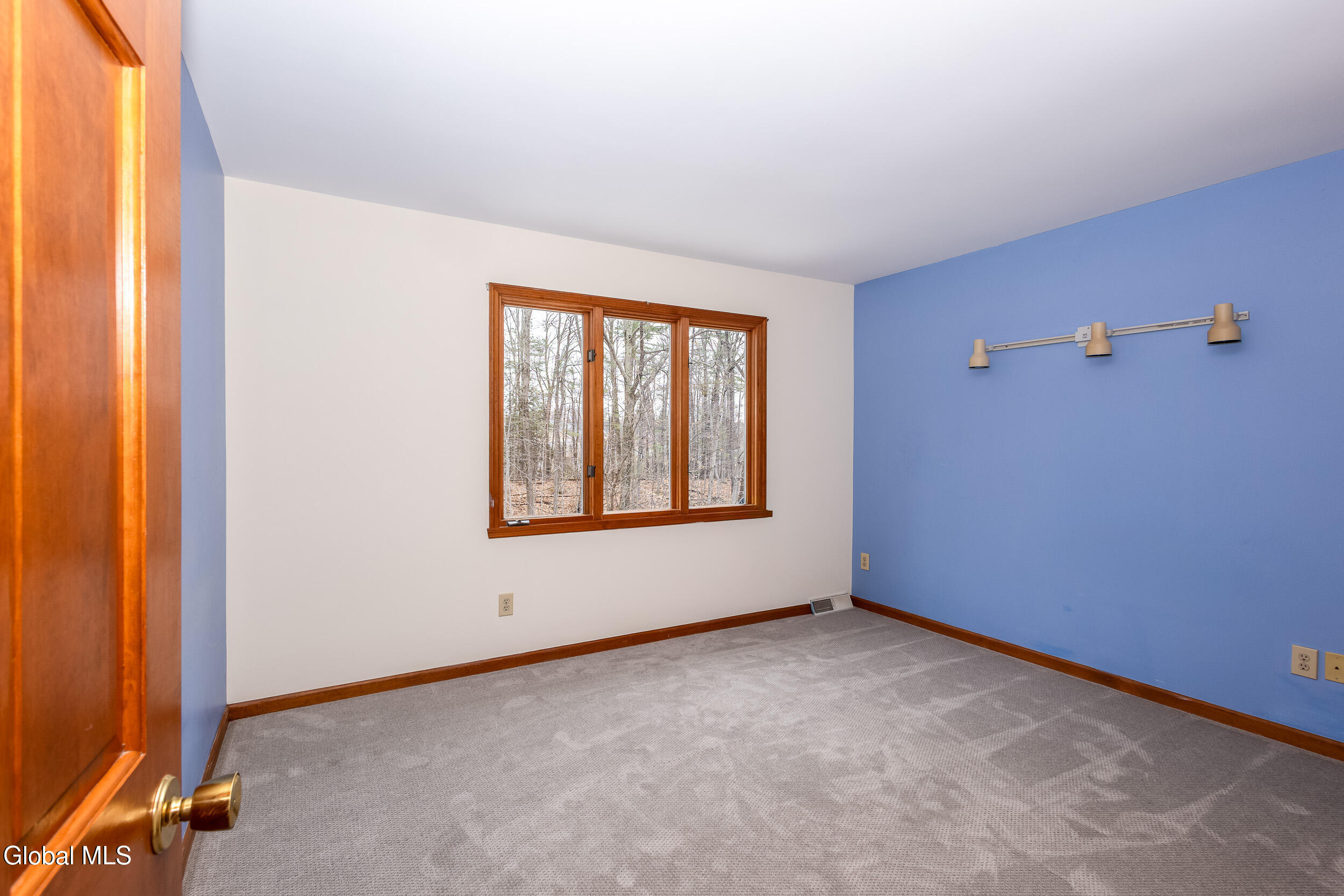 42 Deer Run Hollow Halfmoon NY 12065