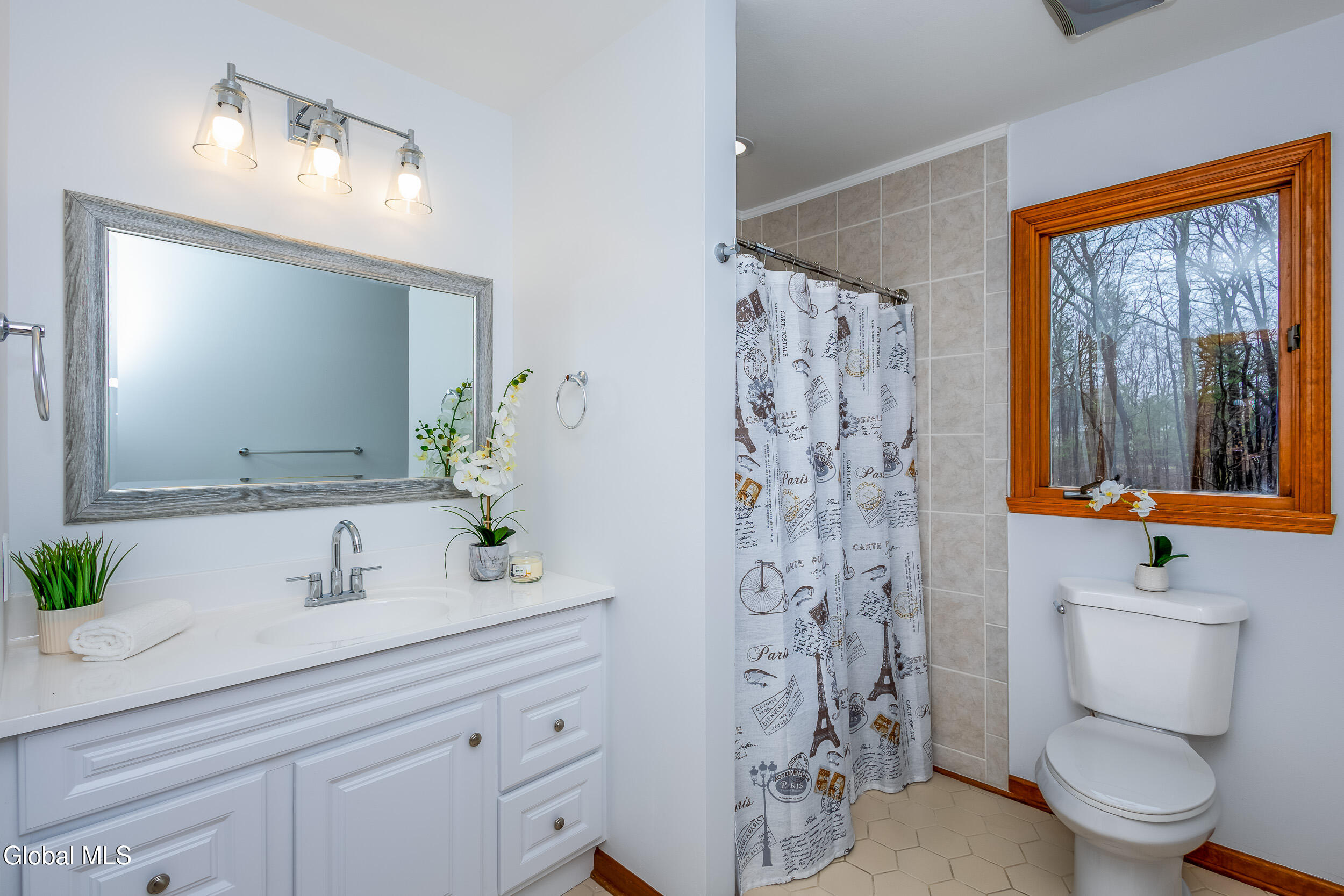 42 Deer Run Hollow Halfmoon NY 12065