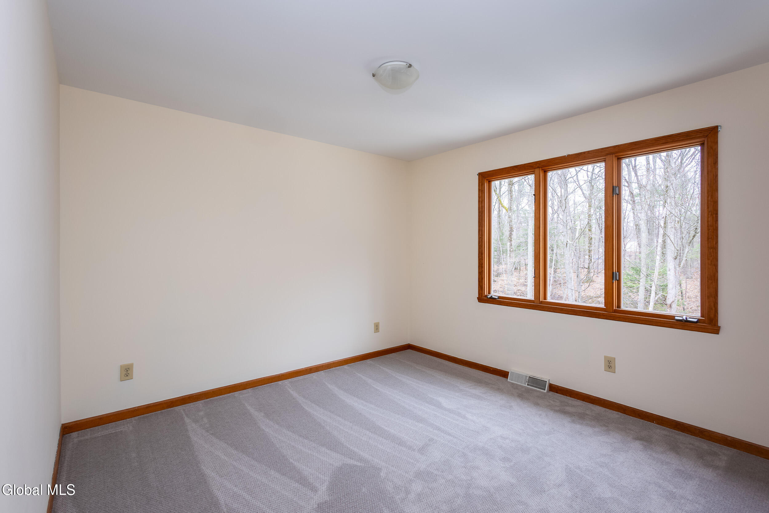 42 Deer Run Hollow Halfmoon NY 12065