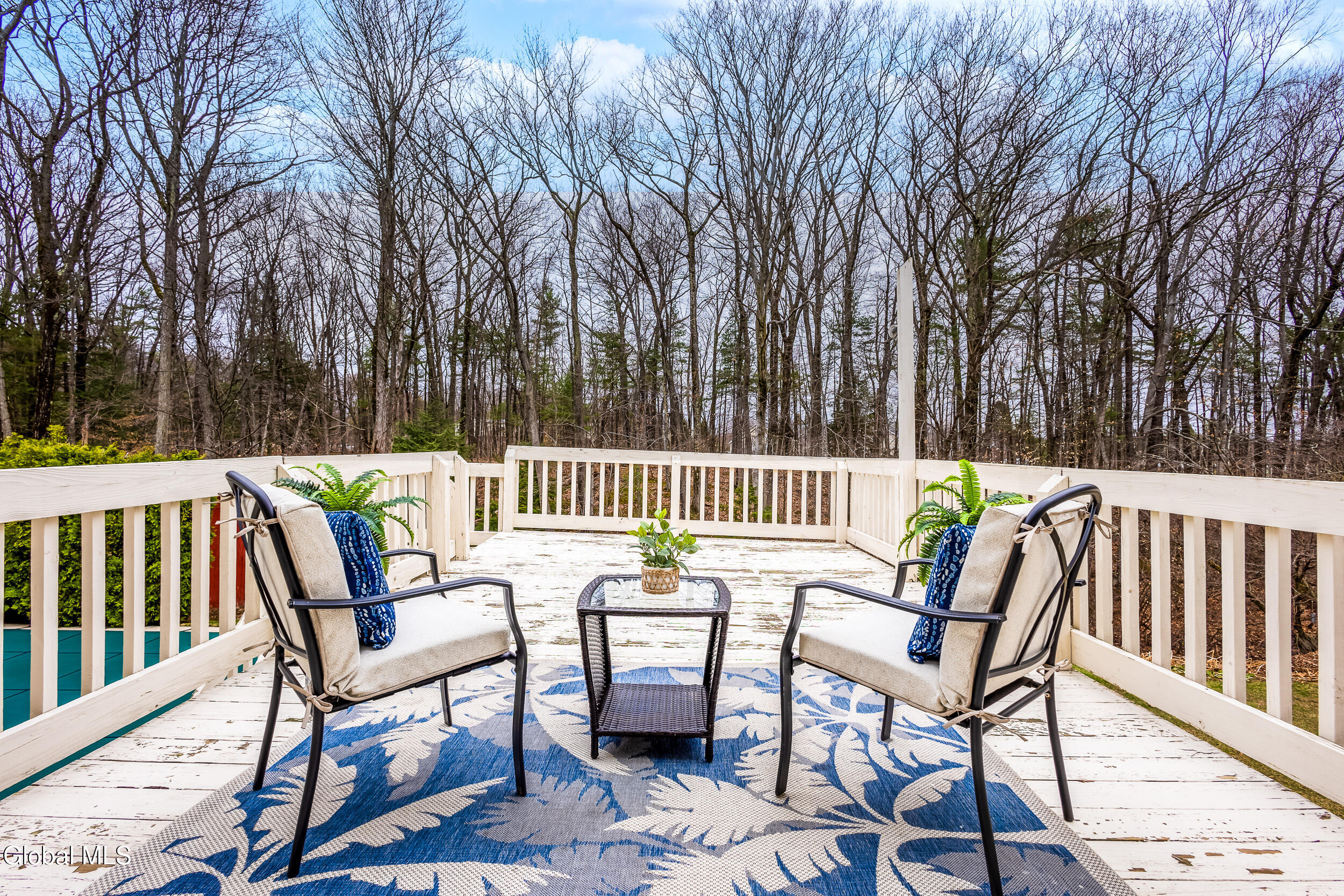 42 Deer Run Hollow Halfmoon NY 12065