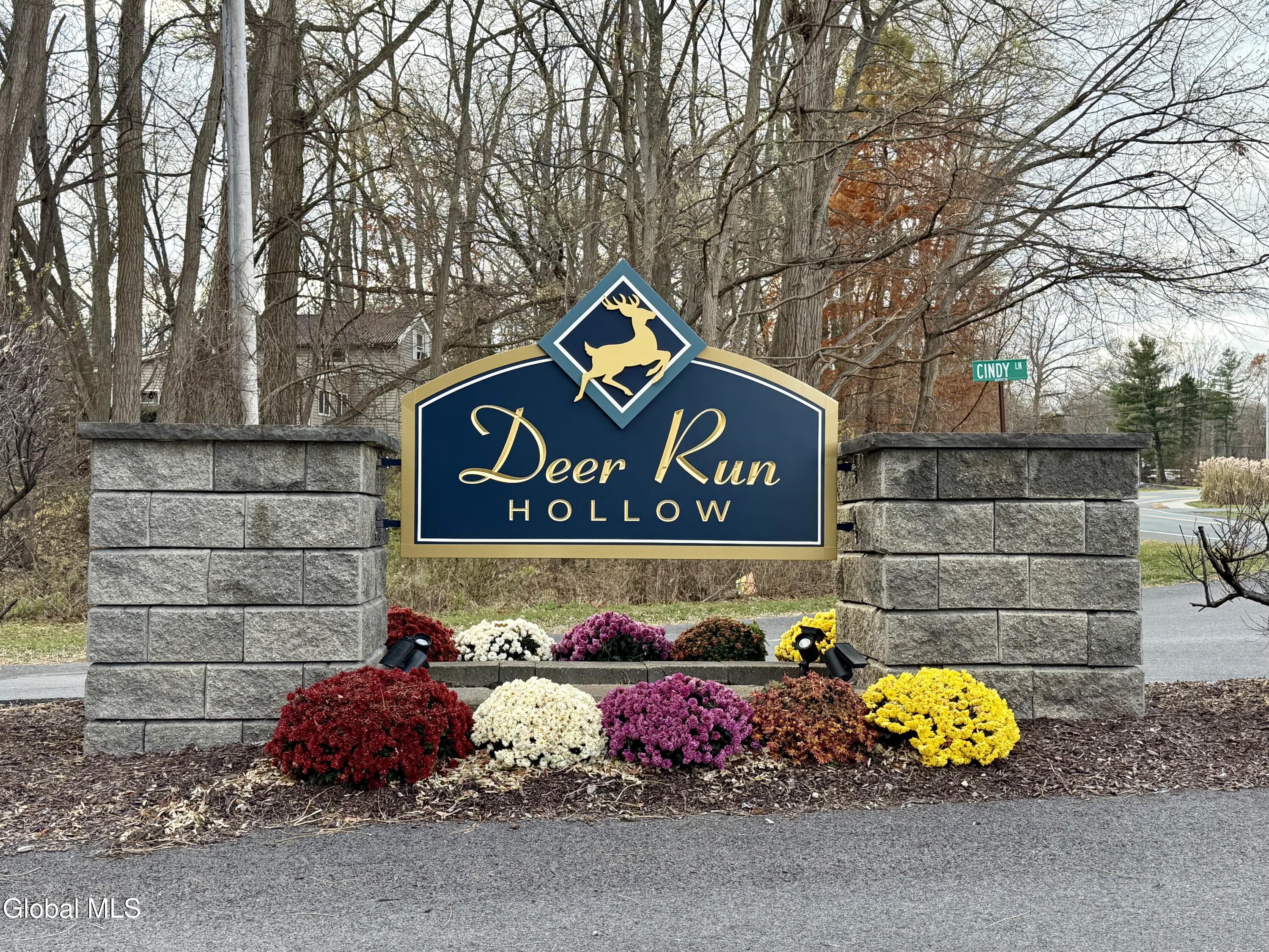 42 Deer Run Hollow Halfmoon NY 12065
