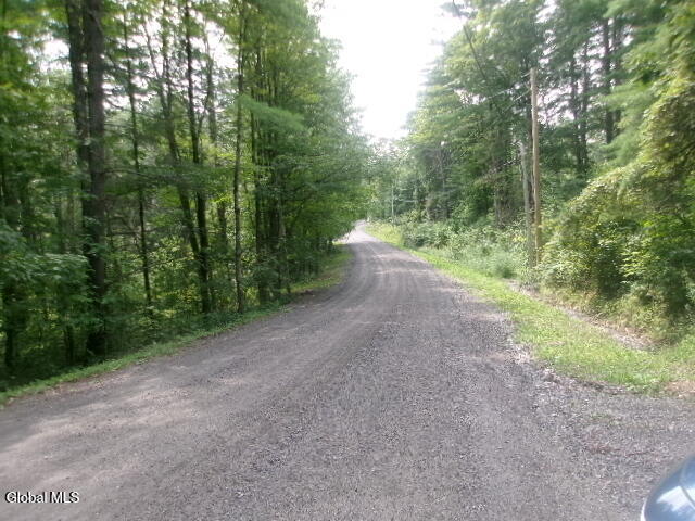 271 Hickey Road Hampton NY 12837