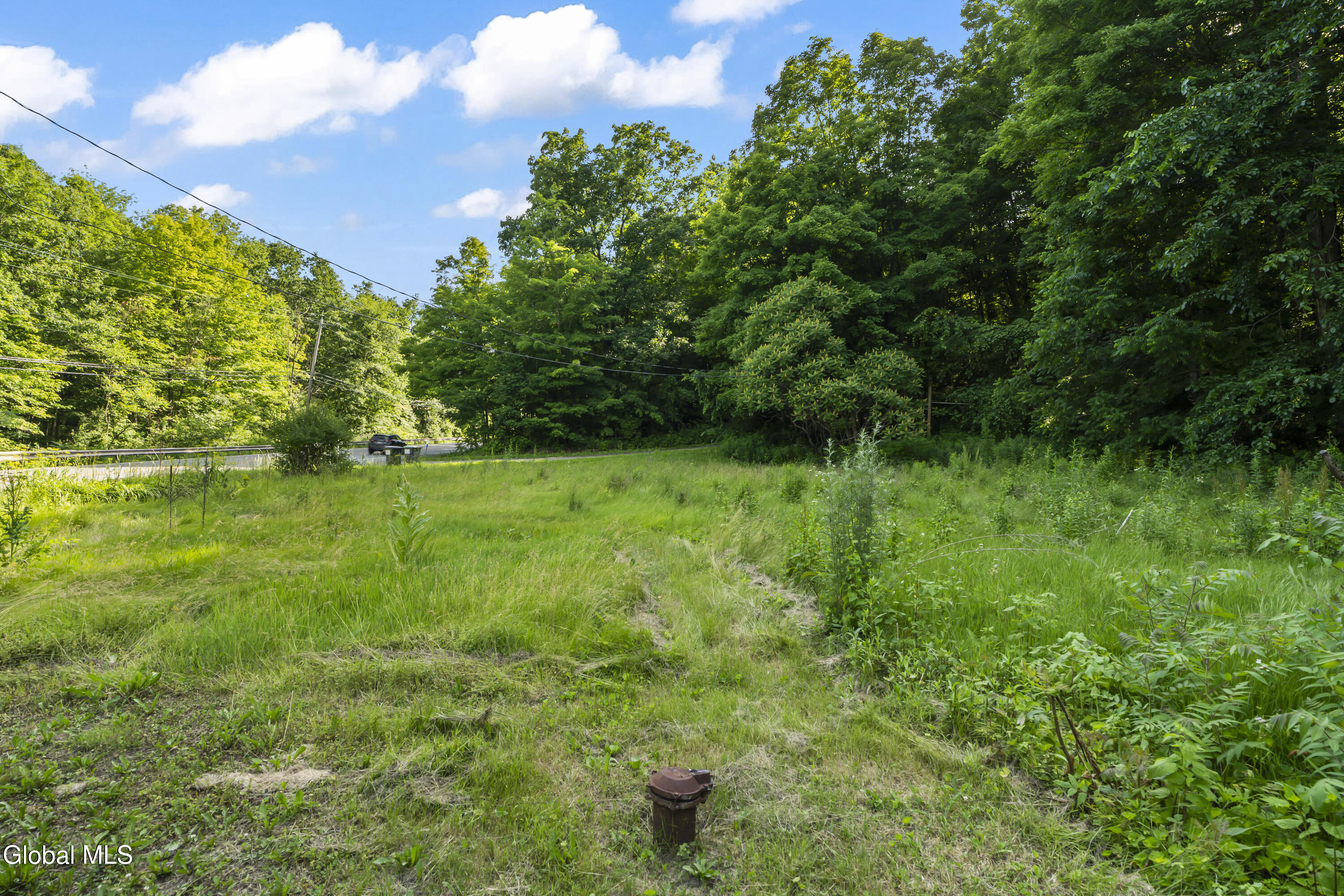 3798 Duanesburg Road Duanesburg NY 12056