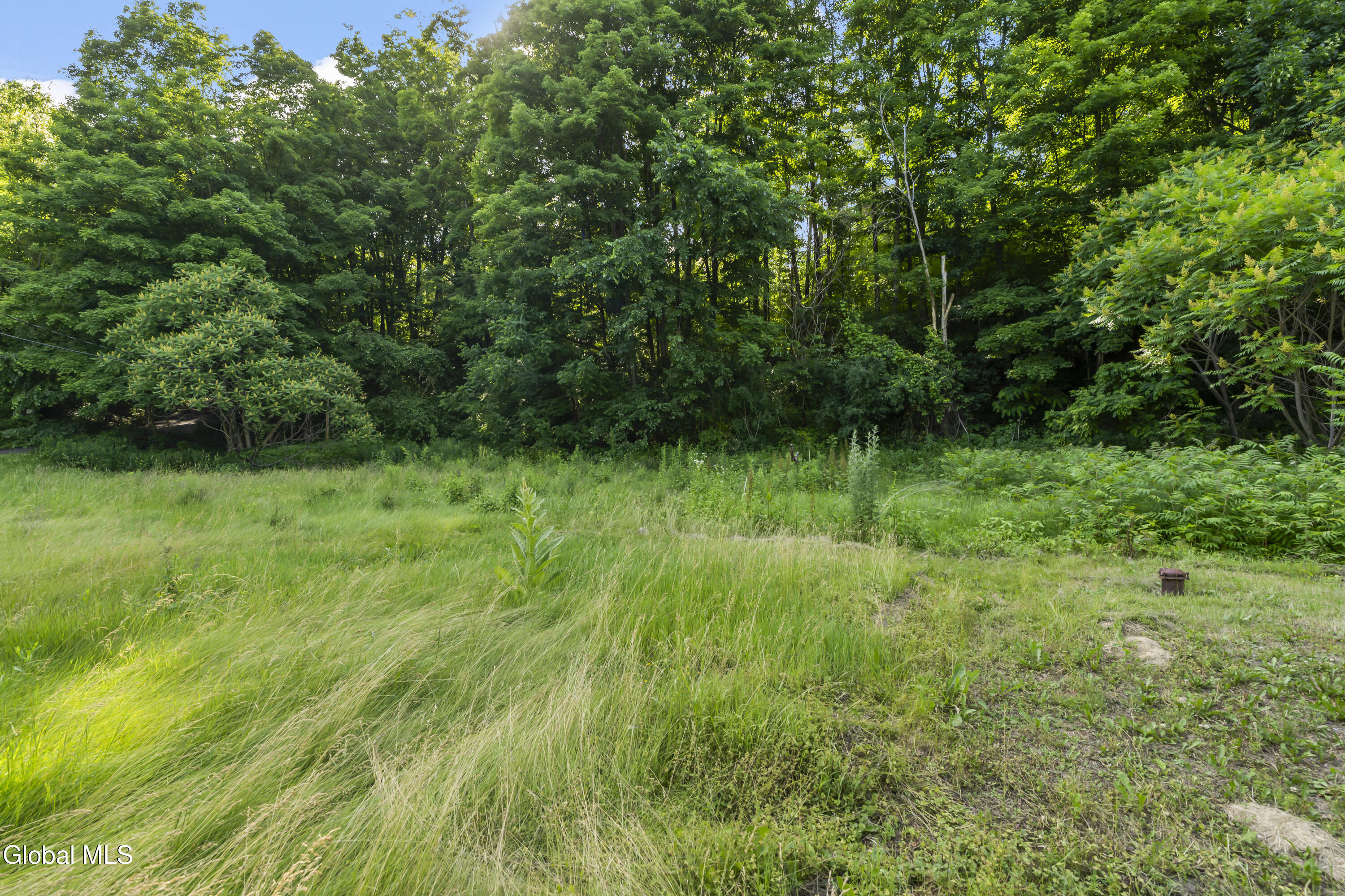 3798 Duanesburg Road Duanesburg NY 12056