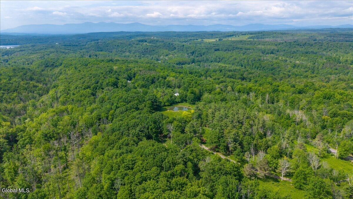 9 Gibson Road Westerlo NY 12193